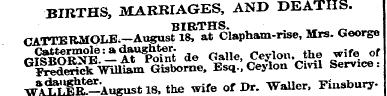 BIRTHS, MARRIAGES, AND DEATHS. BIRTHS. C...