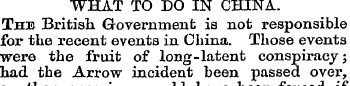 WHAT TO DO IN CHINA. The British Governm...