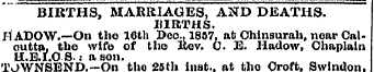 BIRTHS, MARRIAGES, AND DEATHS. 11IRTHS. ...