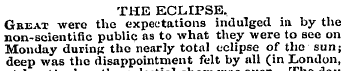 THE ECLIPSE, Great were the expectations...