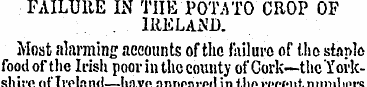 FAILURE IN THE POTATO CHOP OF IRELAND. M...